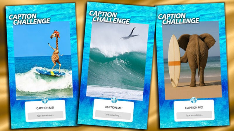 Caption Challenge Surf's Up